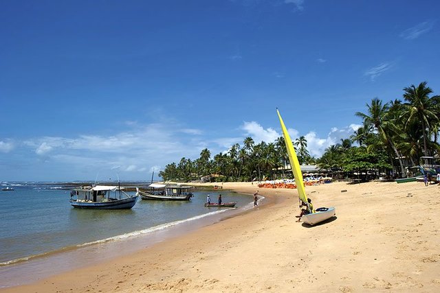 beach-brazil-praia-do-forte-beach-800.jpg