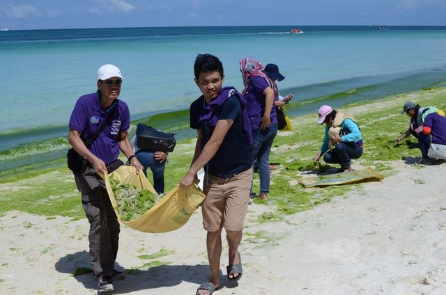 Clean Boracay.jpg