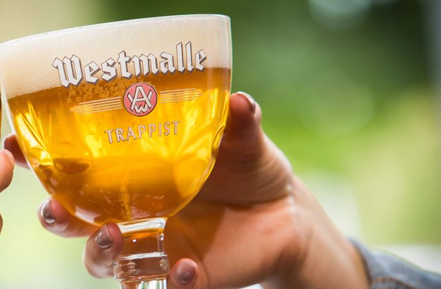 westmalle_trappist-tripel.jpg