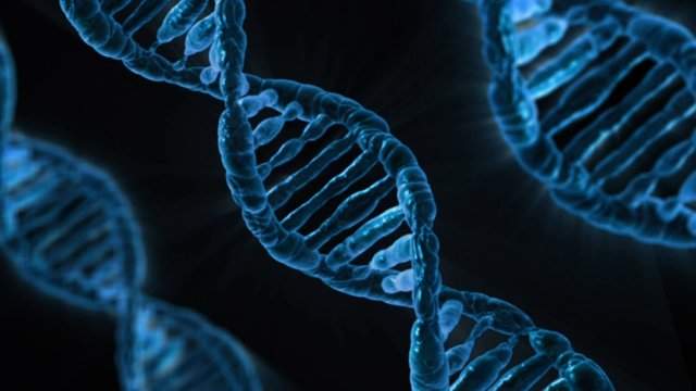 dna-163466_960_720.jpg