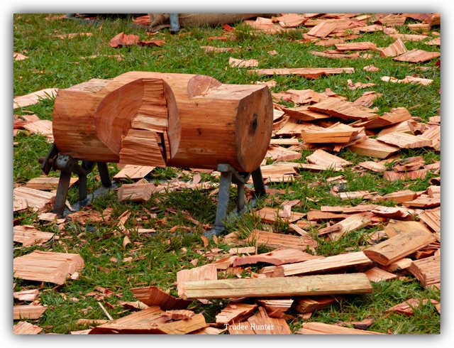 WM Wood Pile.jpg