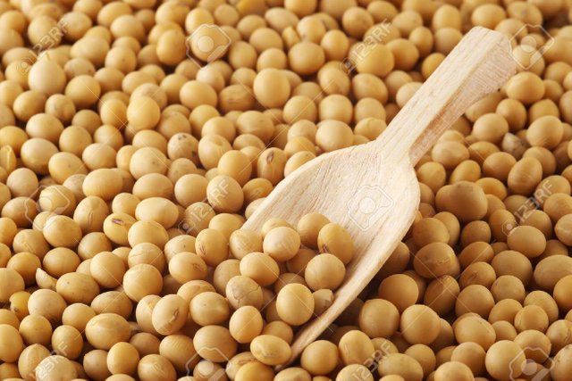 2313755-soybeans.jpg