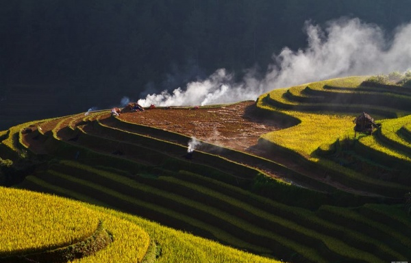 Những tia nắng mai xuyên mây rọi bình minh cho vàng thêm bông lúa.jpg