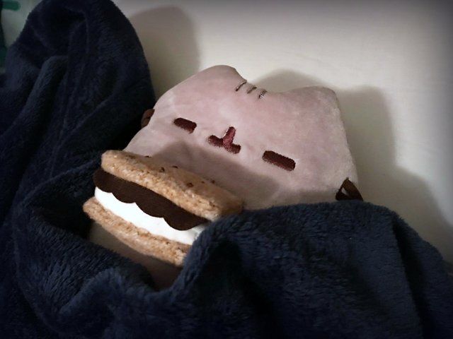 sleeping Pusheen.jpg