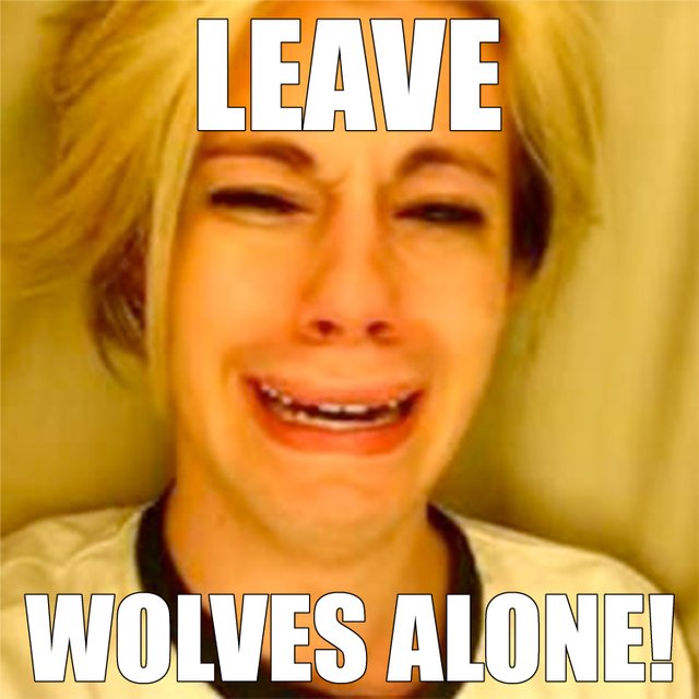 leavewolvesalone.jpg