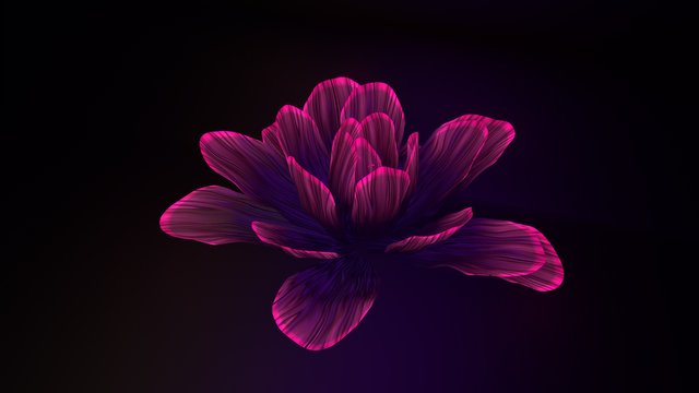 flower.jpg
