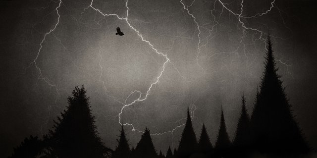 Lightning Silhouette Final - Casey Neal Artwork.jpg