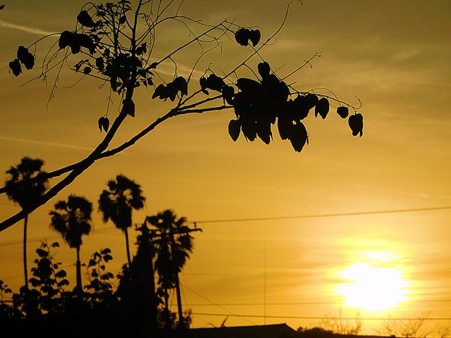 sunset, sunsetphotography, jeronimo rubio, 2018, nature, naturephotography (162).JPG