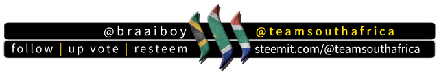 BraaiBoy TeamSouthAfrica Footer.png