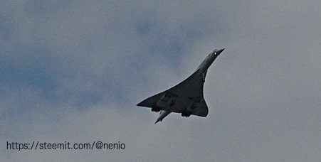 concorde2.jpg