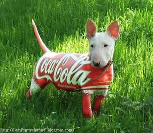 Funny-Dog-Coca-Cola-Image.jpg