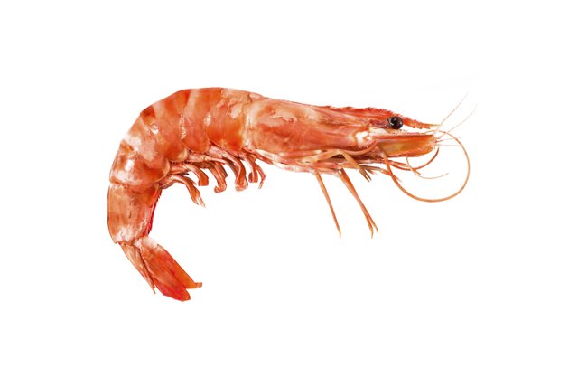 langostino.jpg