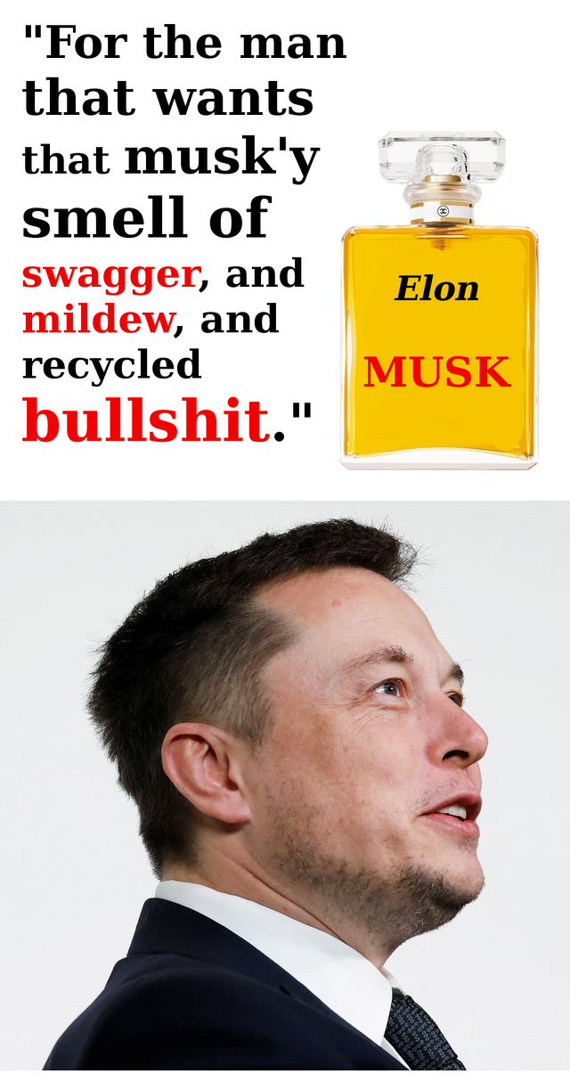 elon_musk.png