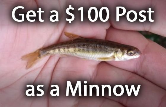 $100 Minnow Post v2b.jpg