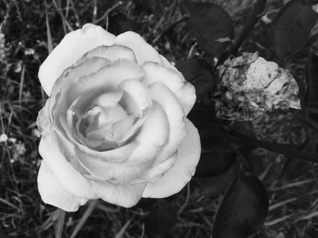 855F6765-1C65-4753-B203-EABCF5A2B120.jpeg