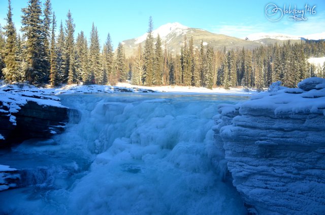 athabasca falls14.jpg