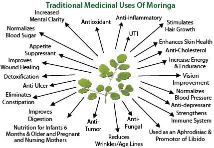 Benifits of Moringa.png