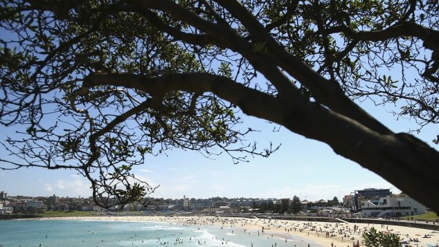 bondi-beach.jpg