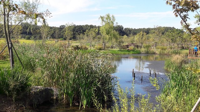 20170914_152244.jpg