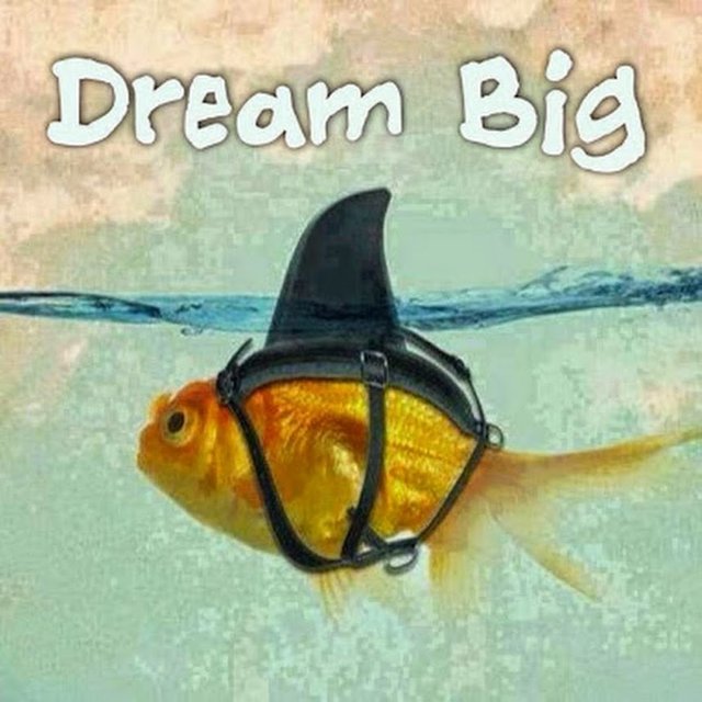 Dream big fish.jpg