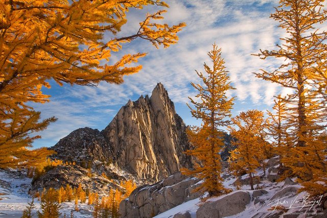 prusik-peak-enchantments-larches-20111013_0735.jpg