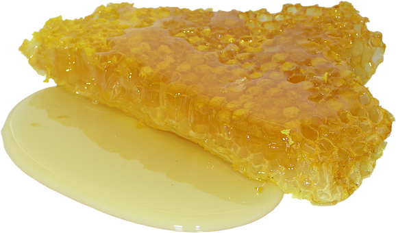 honey-2201210__340.png