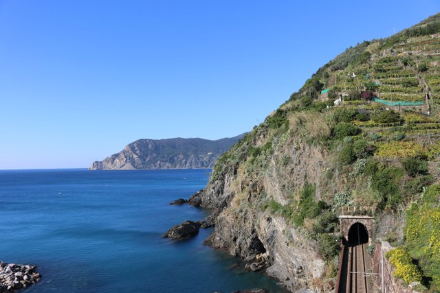 Italy_Cinque Terre_Vineyard.JPG