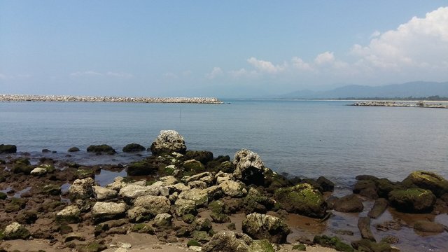 IMG_20180214_162001.jpg