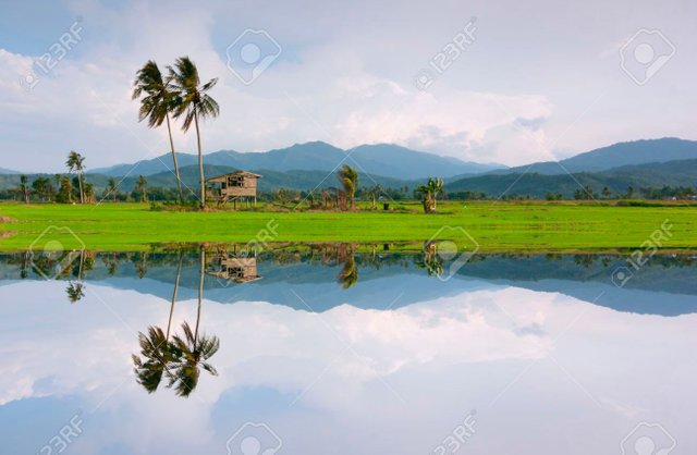 30891790-Reflection-of-a-rural-scenery-in-Kota-Marudu-Sabah-East-Malaysia-Borneo-Stock-Photo.jpg