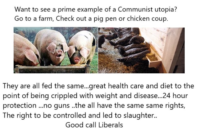 Animal Farm Comunist Utopia.jpg