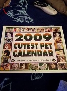 2009cutestpetcalendar.jpg