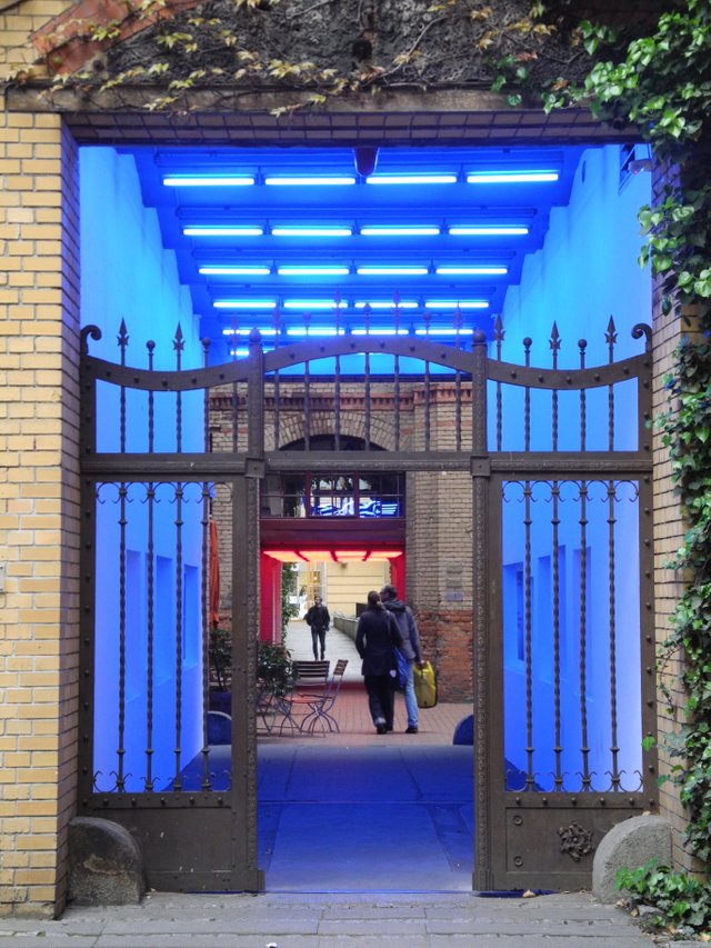 DSCN5317.JPG