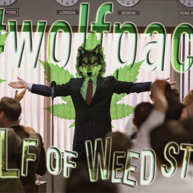 Wolf of Weed Street.JPG