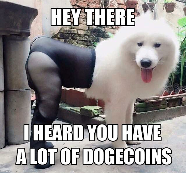 DogIsSexy2.jpg