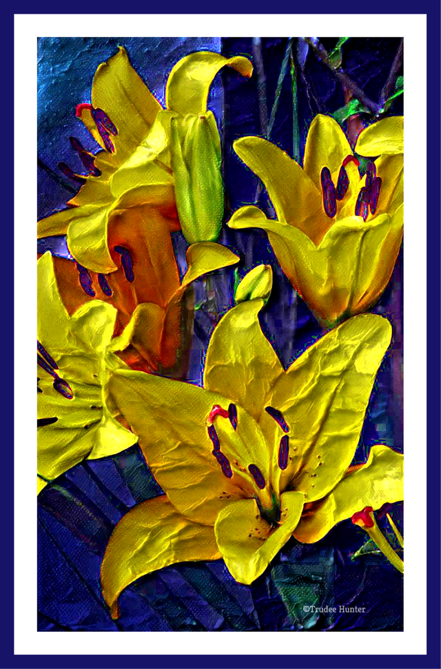 WM blue frame yellowlilies.png