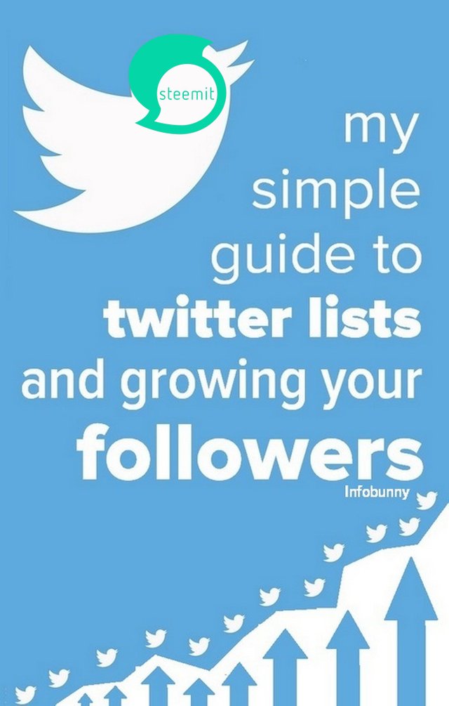 how-to-create-twitter-lists-guide - steemit version.jpg