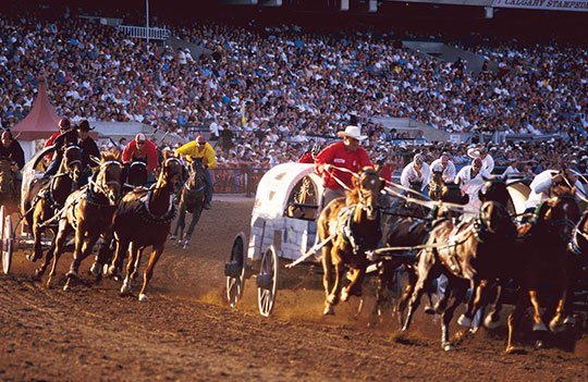 calgary-stampede-chucks.jpg