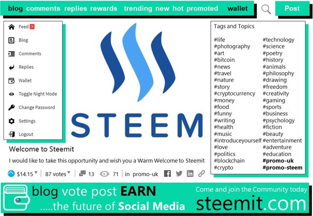 Promoting Steemit 171117.jpg