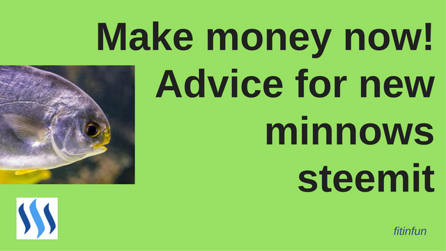 fitinfun How to make money as a new minnow on steemit header png.png
