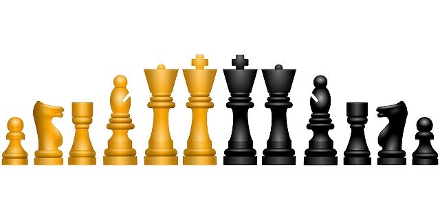 chess-145184_640.jpg