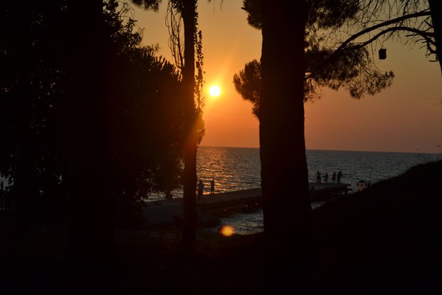 DSC_0879.JPG