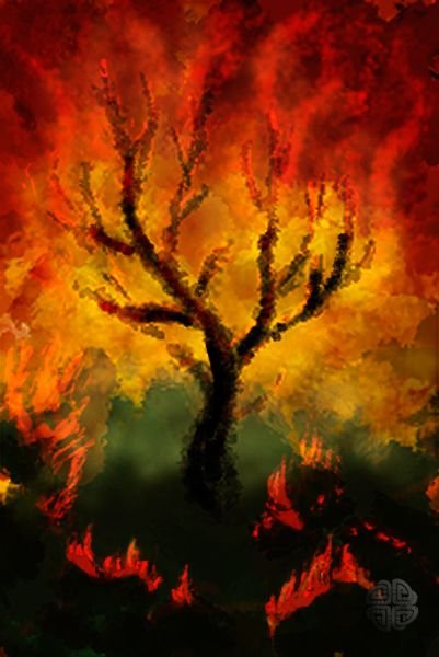 Fire Tree.jpg