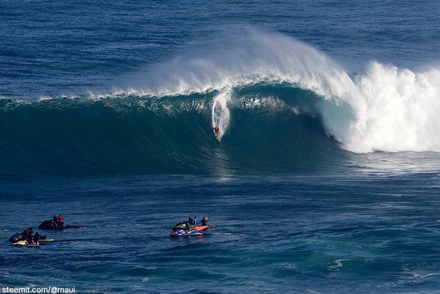 maui-hawaii_0206.jpg