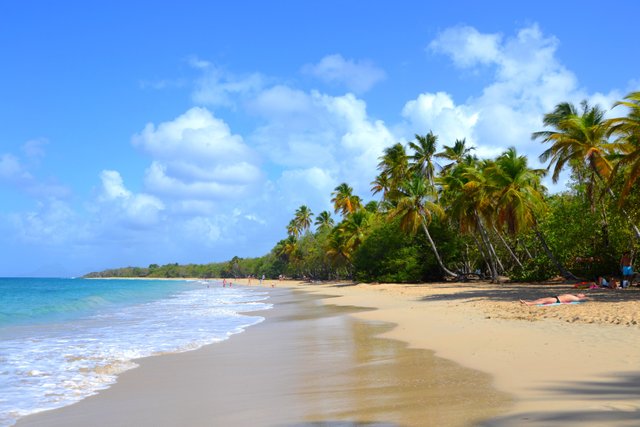 Les Salines - Sainte Anne - Martinique 4.jpeg