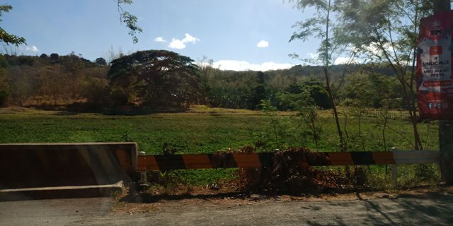 IMG20180428074145.jpg