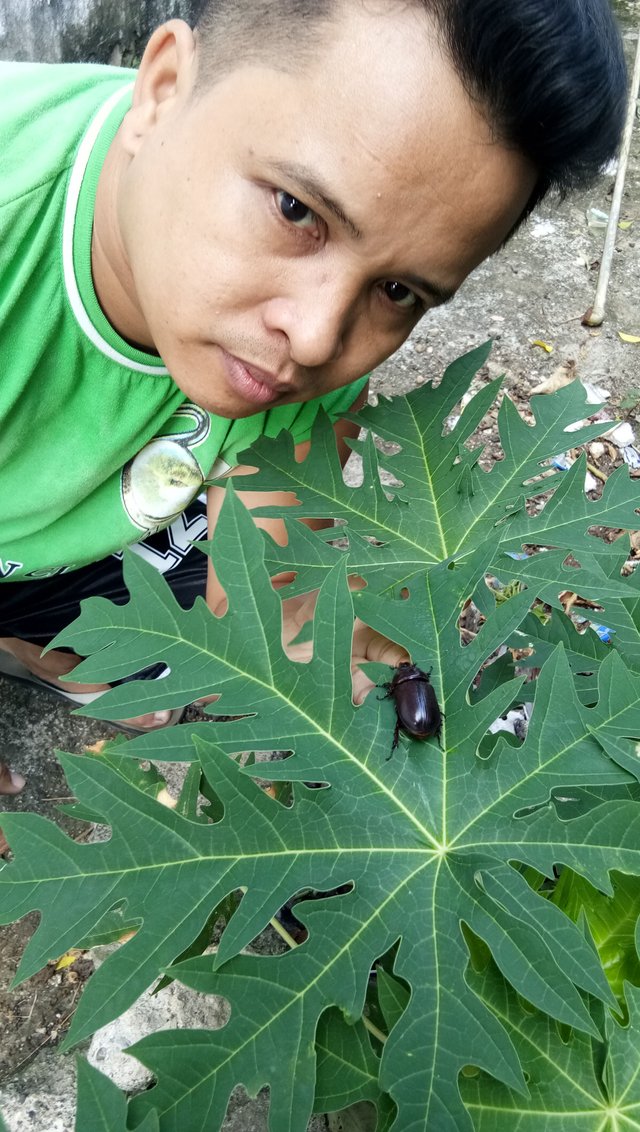 IMG_20180401_082238.jpg