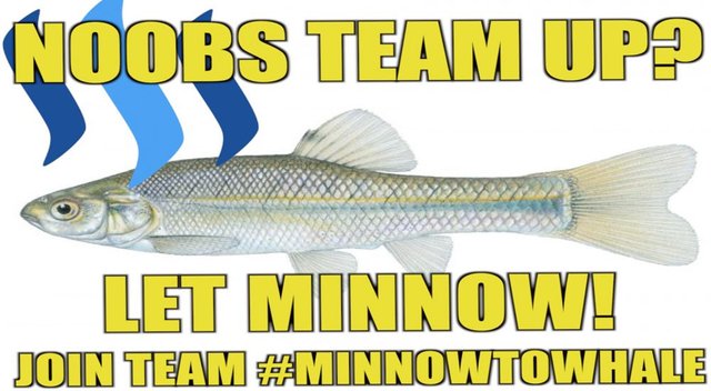 Minnowtowhale thumbnail.jpg