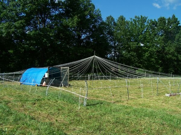 Pasture pen up3 crop July 2017.jpg