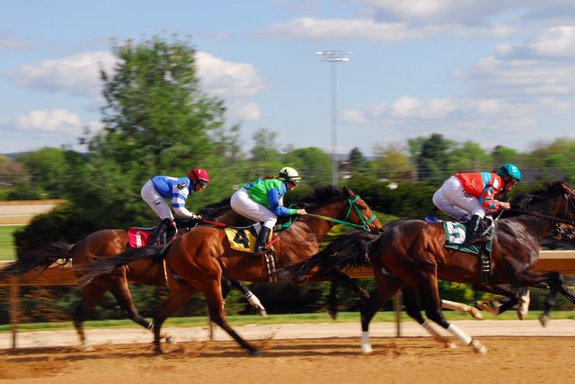 horse-racing-2107381_1920.jpg