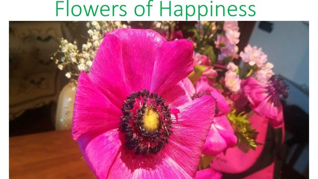 Flowers of Happiness.jpg